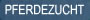 Pferdezucht