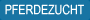 Pferdezucht